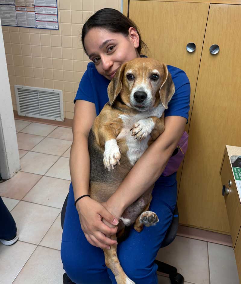 South Orange vet appointment