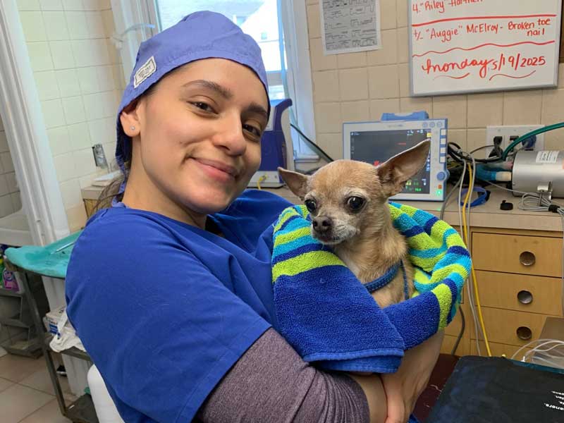 Contact South Orange Animal Hospital