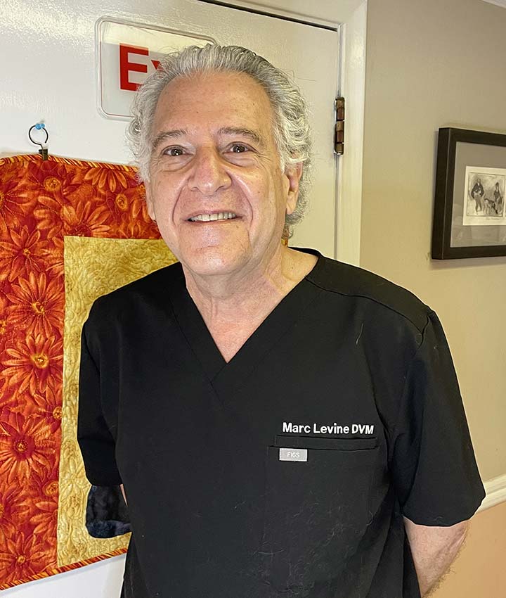Dr. Marc Levine, DVM